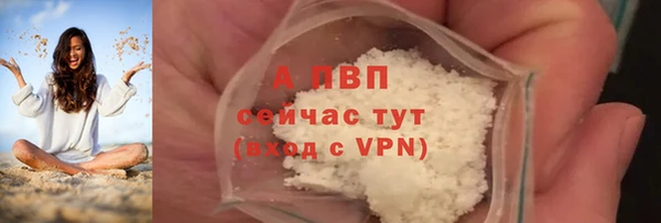 мяу мяу мука Магадан