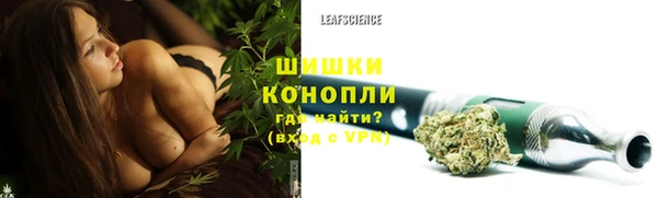 крисы Мегион