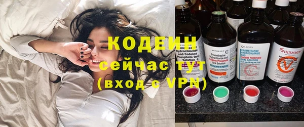 крисы Мегион