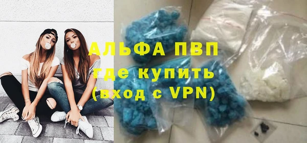 крисы Мегион