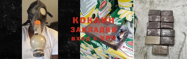крисы Мегион