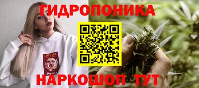 синтетический гашиш Лесосибирск