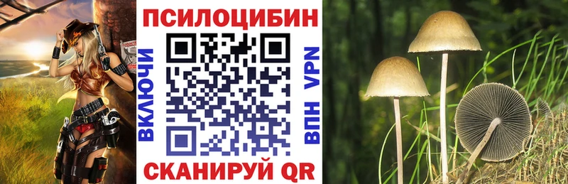 как найти   кракен зеркало  Галлюциногенные грибы GOLDEN TEACHER  Лиски 