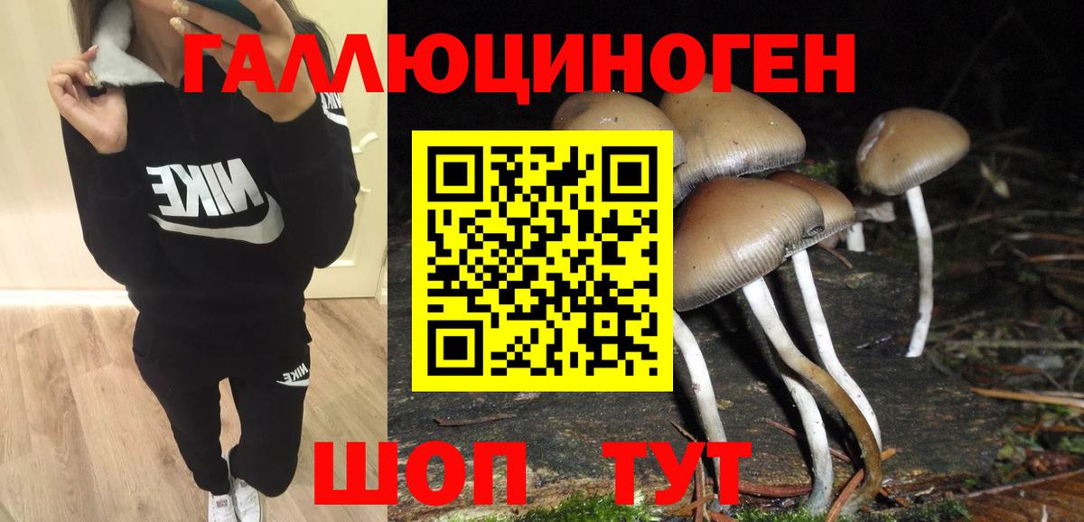 Галлюциногенные грибы мицелий  Вход с VPN  Лиски 